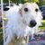 Karen Bolander's profile image