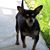 Ann Williams Cox's profile image
