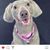 Kathy Hobson's profile image