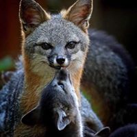Denise Garcia's profile image