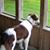 Merri Koren Branchaud's profile image