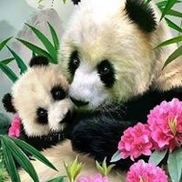 Brenda Stanley's profile image