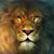 William Marquis's profile image