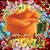 Hung Do's profile image