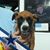 Connie Robertson's profile image