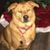 Joe Butler's profile image