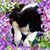 Rita de Leeuw-Verkerk's profile image
