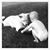 Kathleen Hallberg's profile image