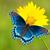 Renee Hope Sundquist's profile image