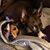 Michelle Lewis's profile image