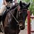 Tammy Lally Lozipone's profile image