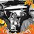 Vetta Link's profile image