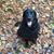 Bob Inglis's profile image