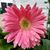 Holly Skinner's profile image