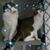 Betty Curles's profile image
