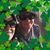 Ann Zzi's profile image