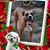 Susan R Richards's profile image
