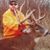 Jeff Lorentz's profile image