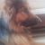 Rebecca Clark's profile image
