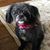 Phyllis Virga Berliner's profile image