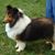 Peggy Furr's profile image