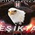 Mustafa Kılkış's profile image