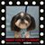 Rene Nordhus's profile image