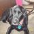 Janice Hittman's profile image