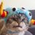 Kasey Gresham's profile image