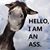 Brent Gallimore's profile image