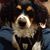 Greg Beall's profile image