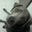 April Sebenaler Lamb's profile image