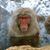 David Boyd's profile image