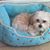 Patricia E. Taylor's profile image