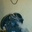 Terence Gates's profile image
