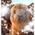 Heather J Luker - Smith's profile image