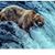 Rishi Ramkissoon's profile image