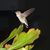 Susan Crumley's profile image