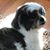 Connie Griffin's profile image