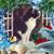 Darlene Scarnecchia Forbes's profile image