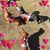 Eileen Emi Tabuchi's profile image