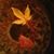 Linda Schaffer's profile image