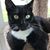 Eric Strom's profile image