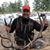 Chris Steffen's profile image