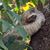 Beatrice Botbol's profile image