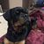 Eric N Karen Lamacki's profile image