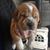 Douglas Kaske's profile image