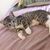 Jorge Luis Camano's profile image