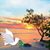 Marie-Jeanne Merriman's profile image