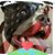 Maureen Hobson's profile image